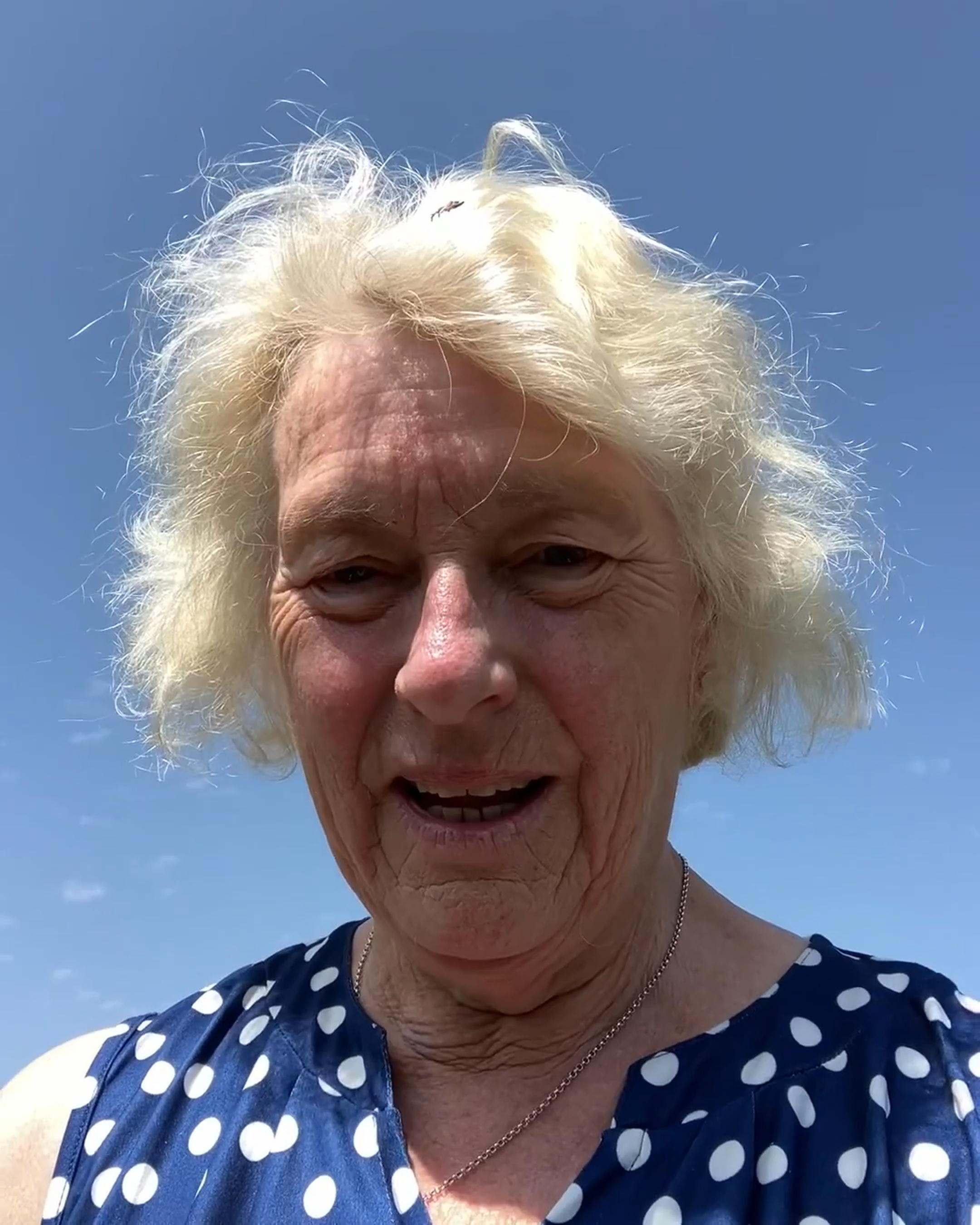 video-image