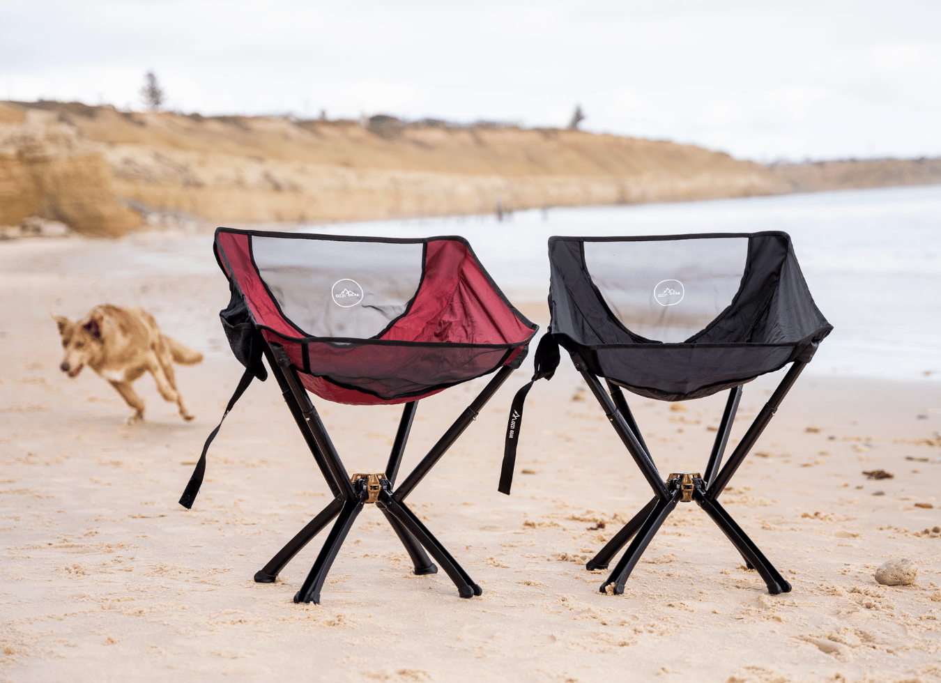 Red and black ozzi gear camping chairs on beach with dog in the background